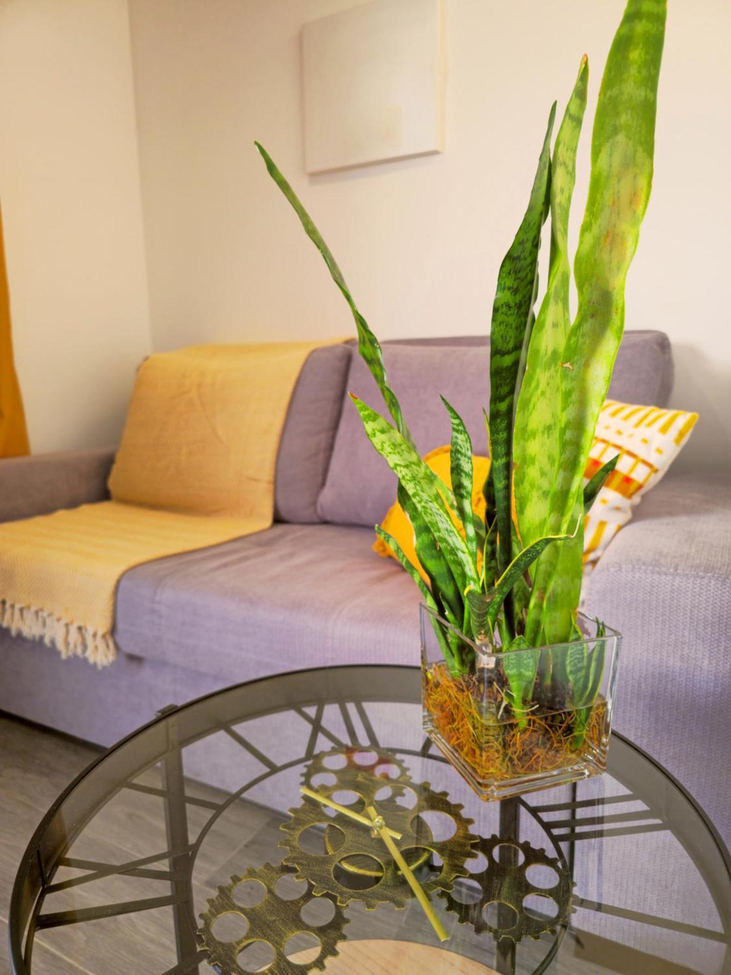 Brand New Private Modern Apartment With Patio And Sea View Calheta  Dış mekan fotoğraf