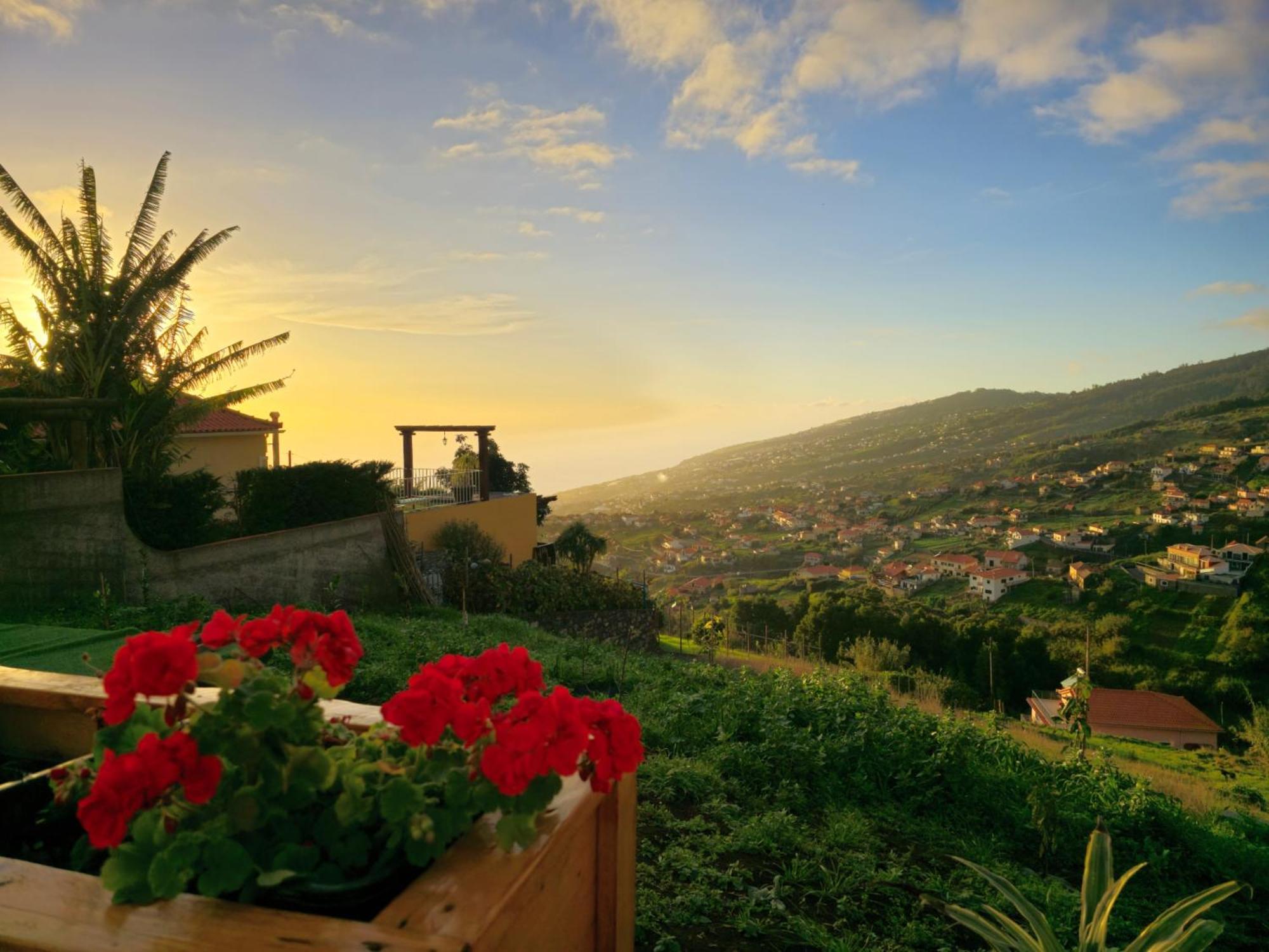 Brand New Private Modern Apartment With Patio And Sea View Calheta  Dış mekan fotoğraf